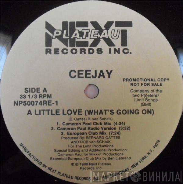  Ceejay  - A Little Love (What's Going On)