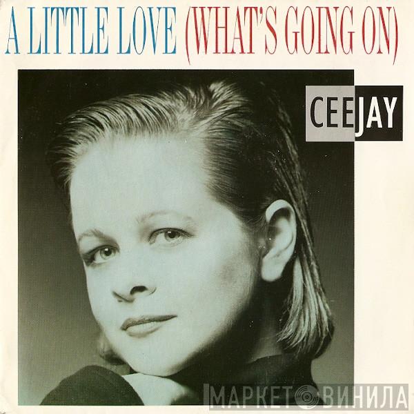  Ceejay  - A Little Love (What's Going On)