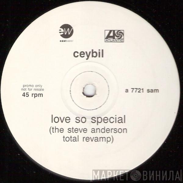 Ceybil Jefferies - Love So Special (The Steve Anderson Total Revamp)