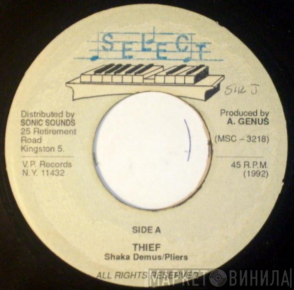 Chaka Demus & Pliers - Thief