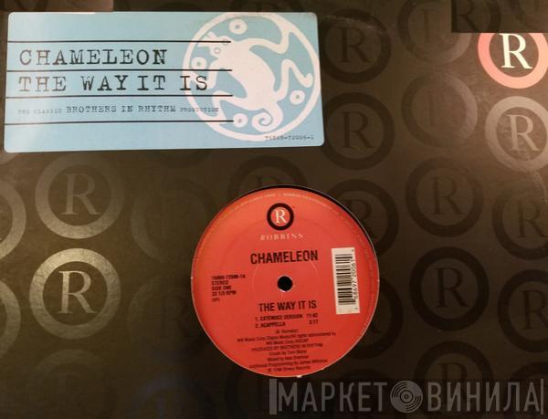 Chameleon  - The Way It Is