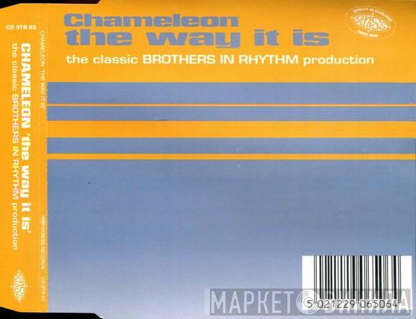 Chameleon  - The Way It Is
