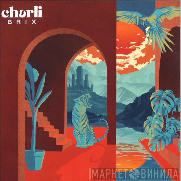 Charli Brix - The Art Of Change
