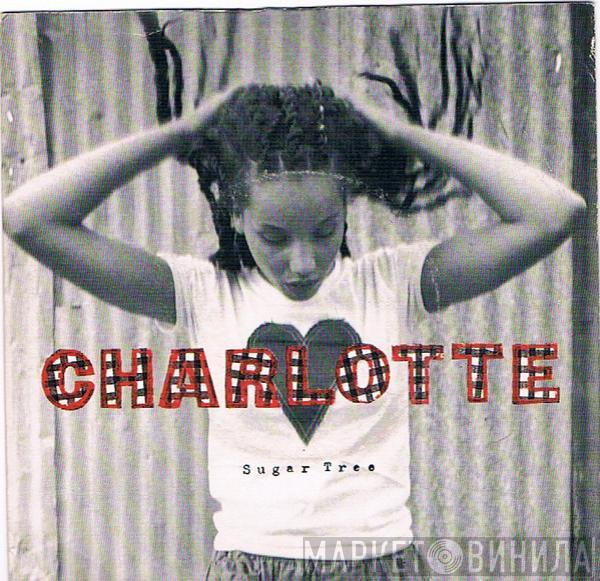  Charlotte  - Sugar Tree