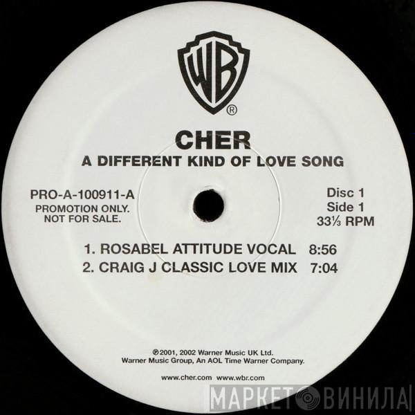 Cher - A Different Kind Of Love Song