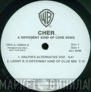  Cher  - A Different Kind Of Love Song