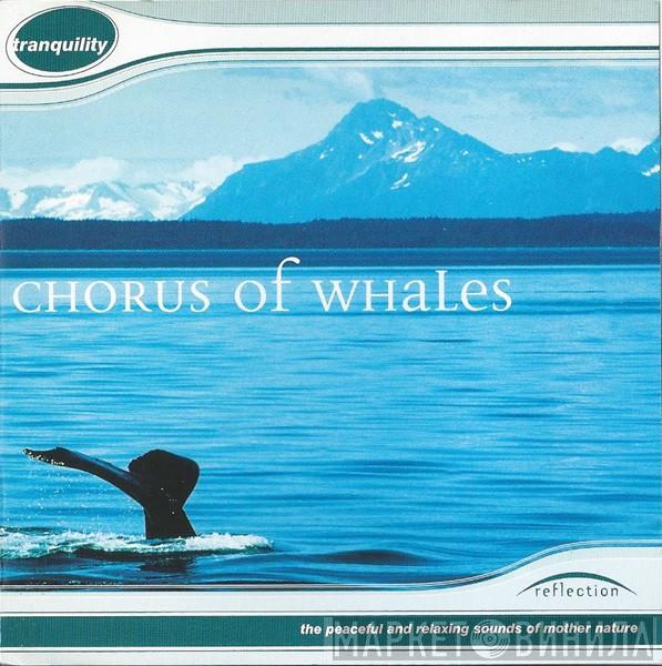  - Chorus Of Whales