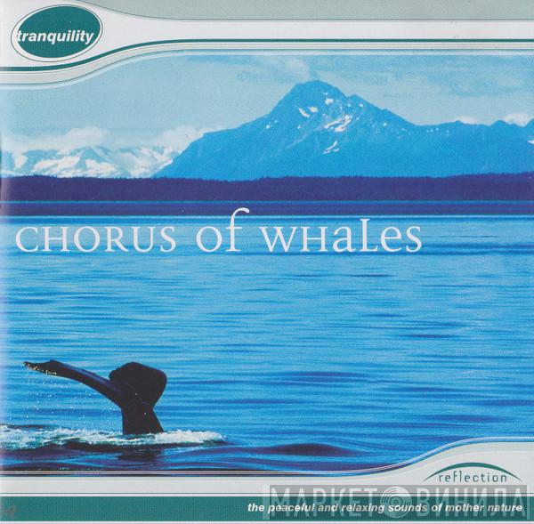  - Chorus Of Whales