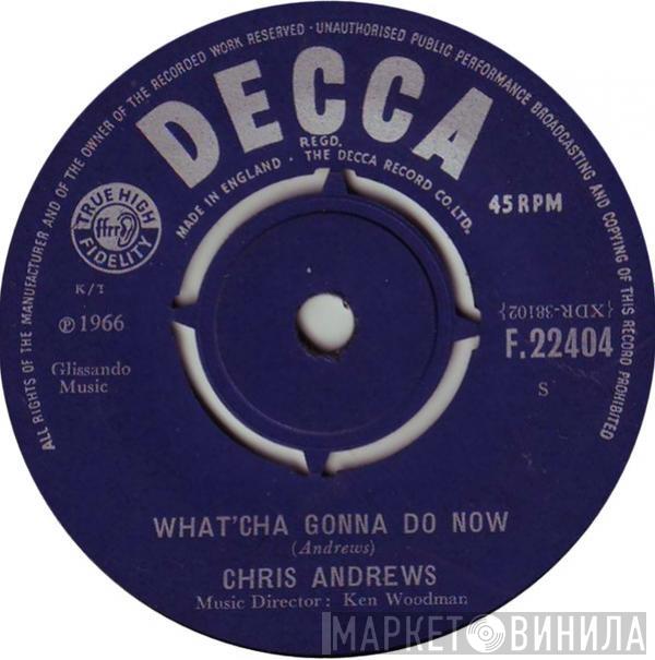 Chris Andrews  - What'cha Gonna Do Now
