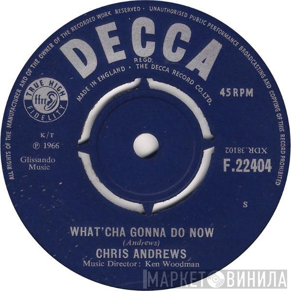 Chris Andrews  - What'cha Gonna Do Now