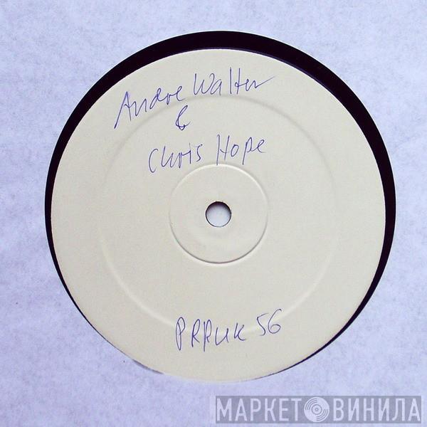 Chris Hope & André Walter - Bitch