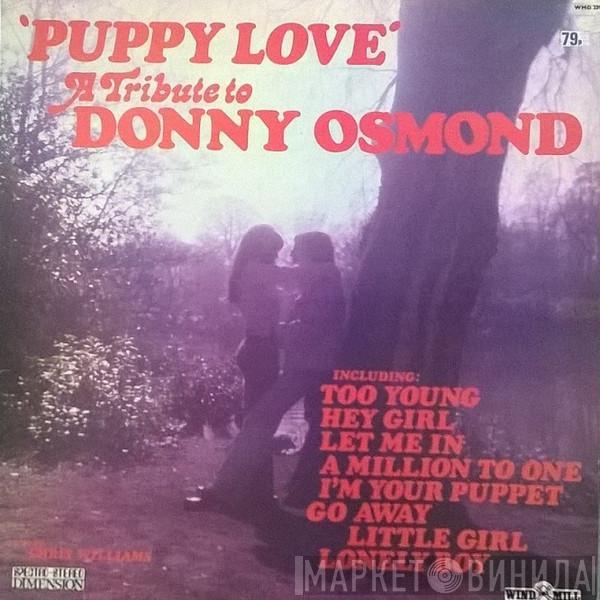 Chris Williams  - 'Puppy Love' - A Tribute To Donny Osmond