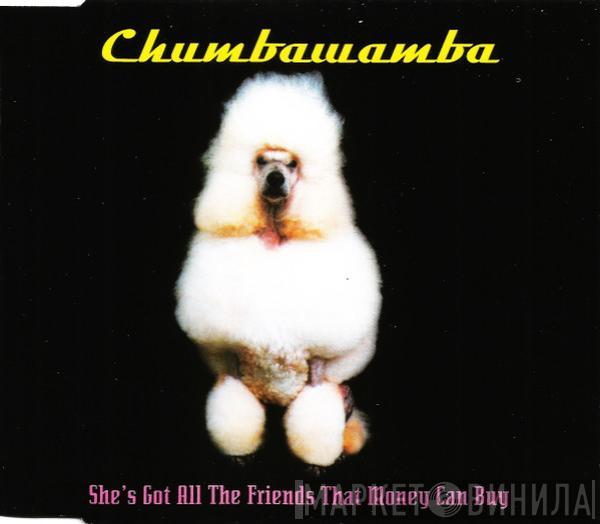 Chumbawamba - She's Got All The Friends That Money Can Buy