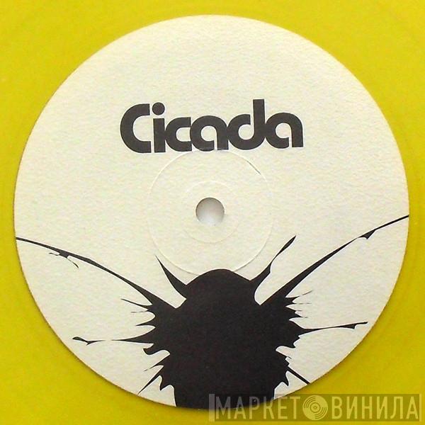 Cicada - The Things U Say / Edge