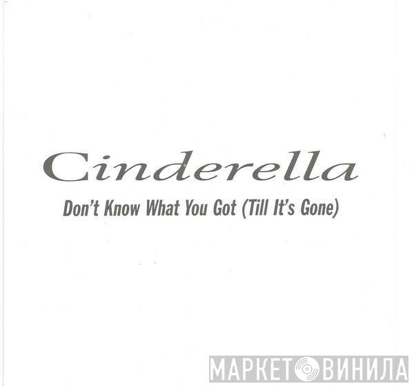 Cinderella  - Don't Know What You Got (Till It's Gone)