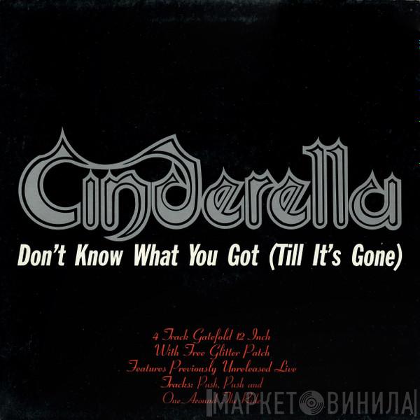 Cinderella  - Don't Know What You Got (Till It's Gone)