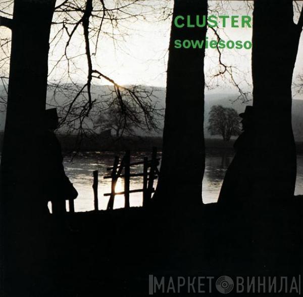 Cluster - Sowiesoso