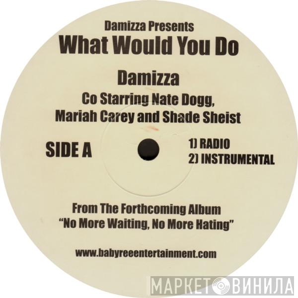 Co Starring Damizza , Nate Dogg And Mariah Carey  Shade Sheist  - What Would You Do