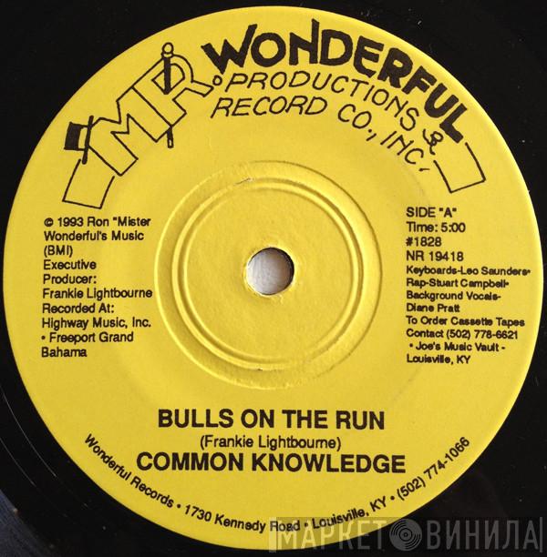 Common Knowledge  - Bulls On The Run