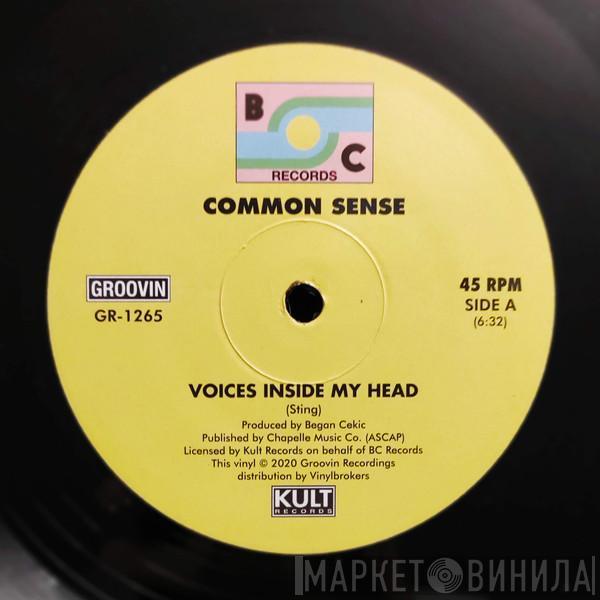 Common Sense - Voices Inside My Head