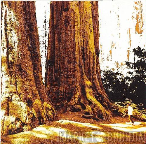 Conifer - Conifer