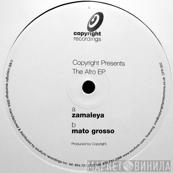 Copyright - The Afro EP