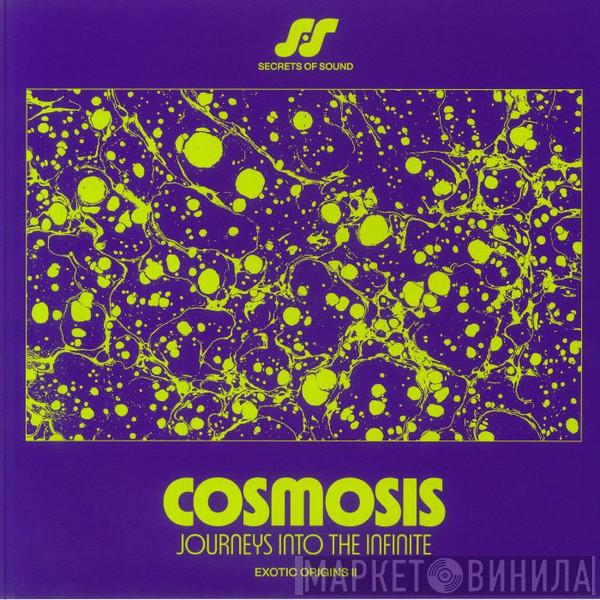  -  Cosmosis: Journeys Into The Infinite 