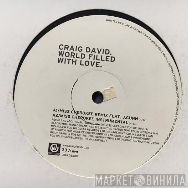 Craig David - World Filled With Love