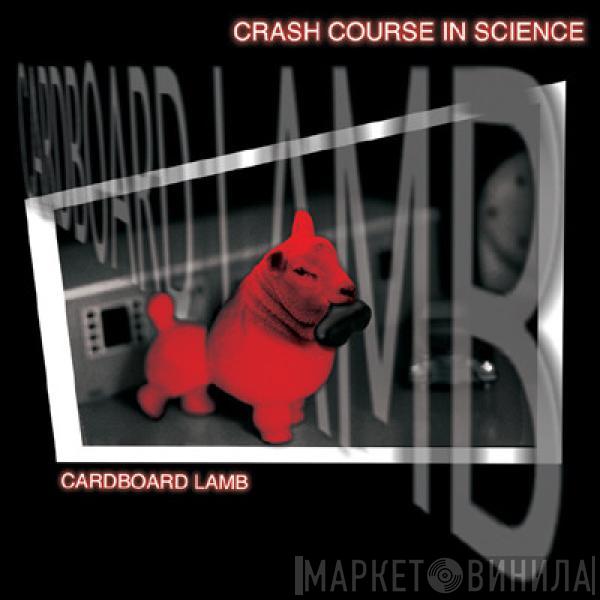 Crash Course In Science - Cardboard Lamb