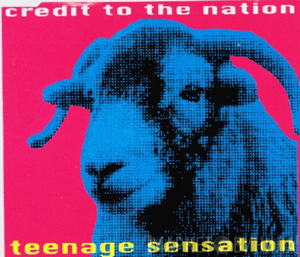 Credit To The Nation - Teenage Sensation