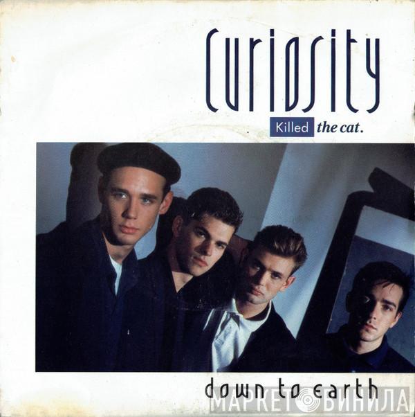 Curiosity Killed The Cat - Down To Earth