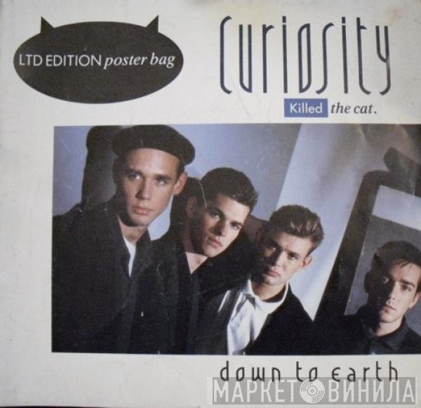 Curiosity Killed The Cat - Down To Earth