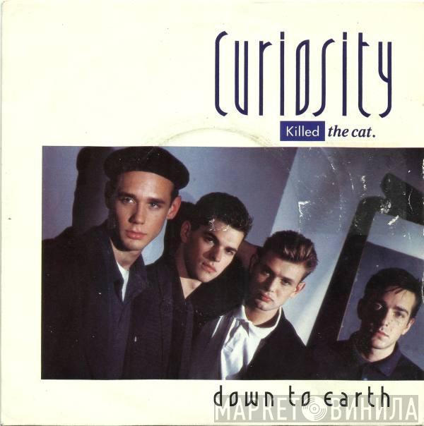 Curiosity Killed The Cat - Down To Earth