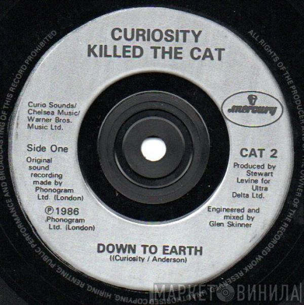  Curiosity Killed The Cat  - Down To Earth