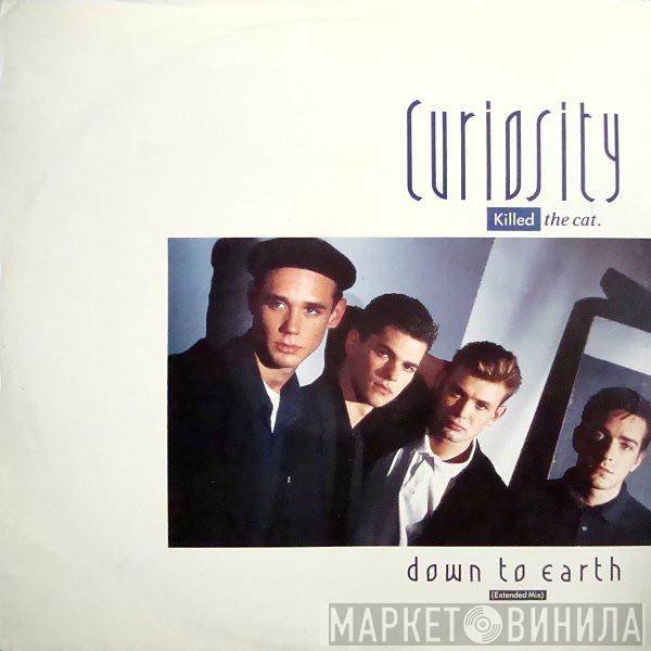  Curiosity Killed The Cat  - Down To Earth