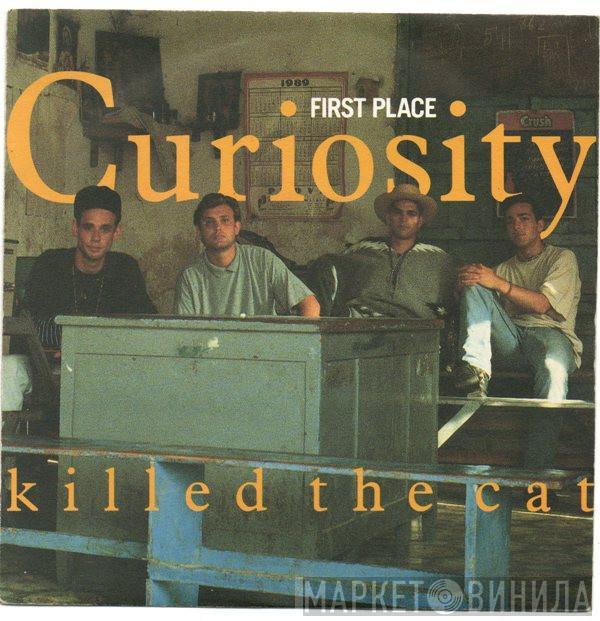 Curiosity Killed The Cat - First Place