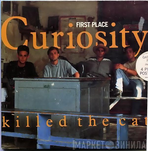 Curiosity Killed The Cat - First Place