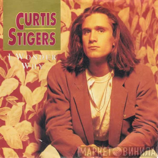 Curtis Stigers - I Wonder Why