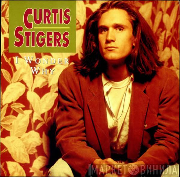 Curtis Stigers - I Wonder Why