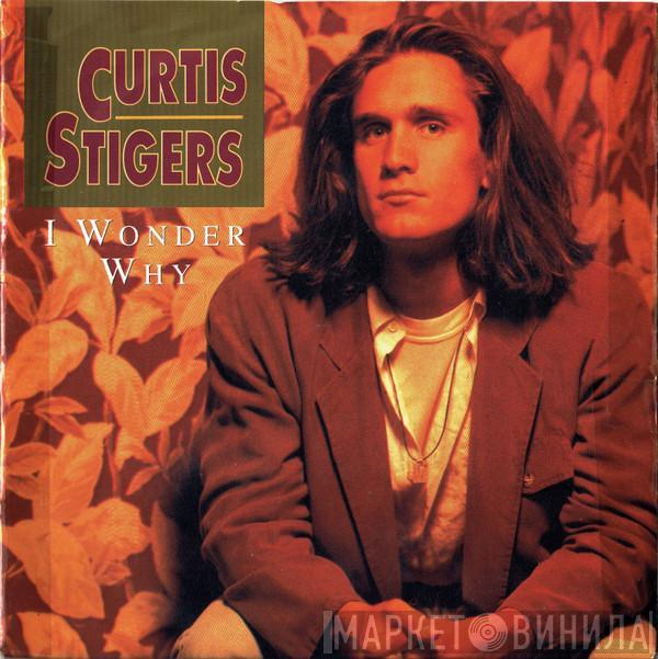  Curtis Stigers  - I Wonder Why