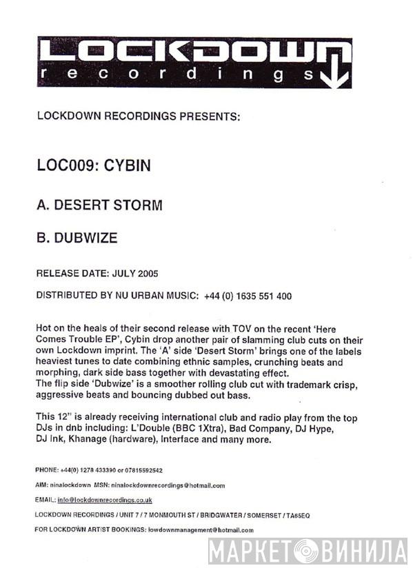 CyBin - Desert Storm / Dubwize
