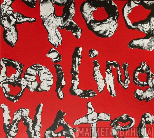 DIIV - Frog In Boiling Water