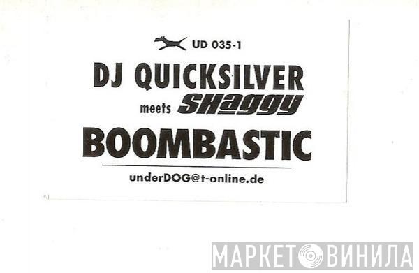 DJ Quicksilver, Shaggy - Boombastic