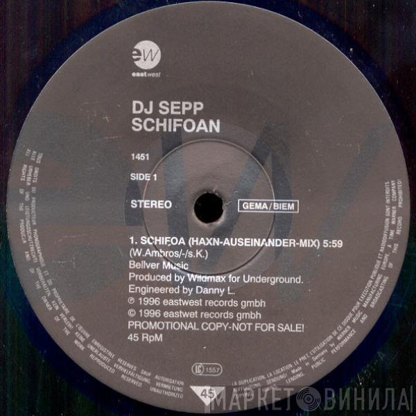 DJ Sepp - Schifoan