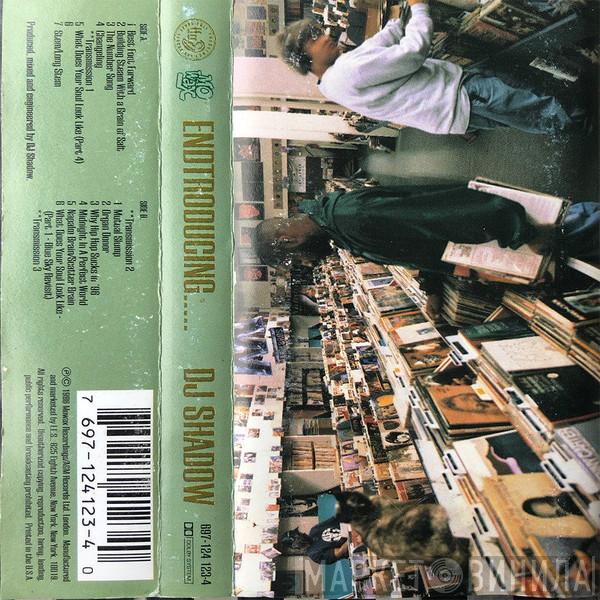  DJ Shadow  - Endtroducing.....