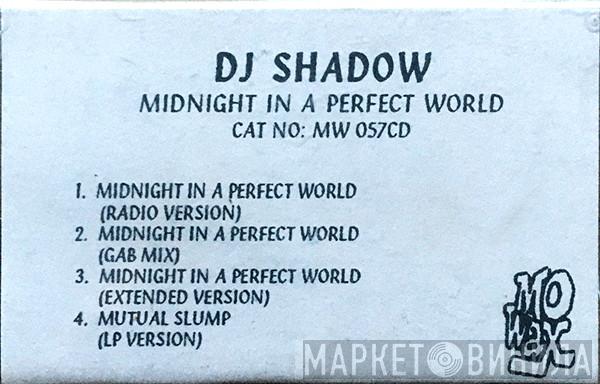 DJ Shadow  - Midnight In A Perfect World