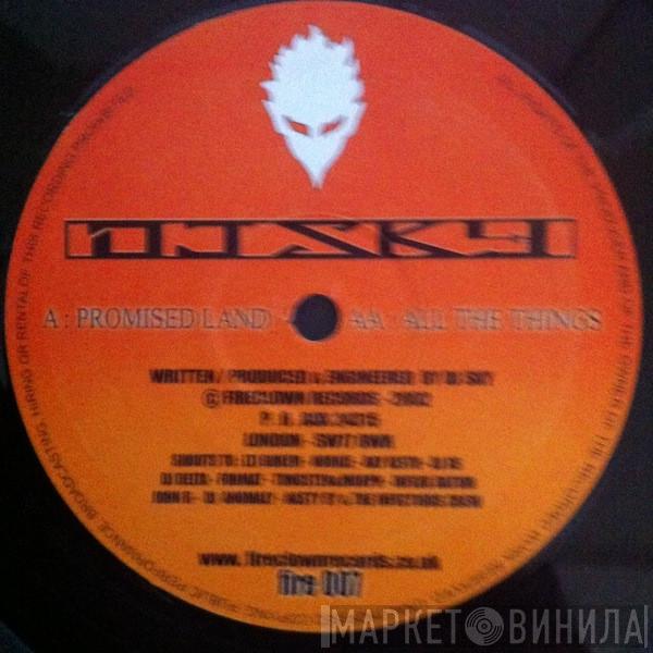 DJ Sky  - Promised Land / All The Things