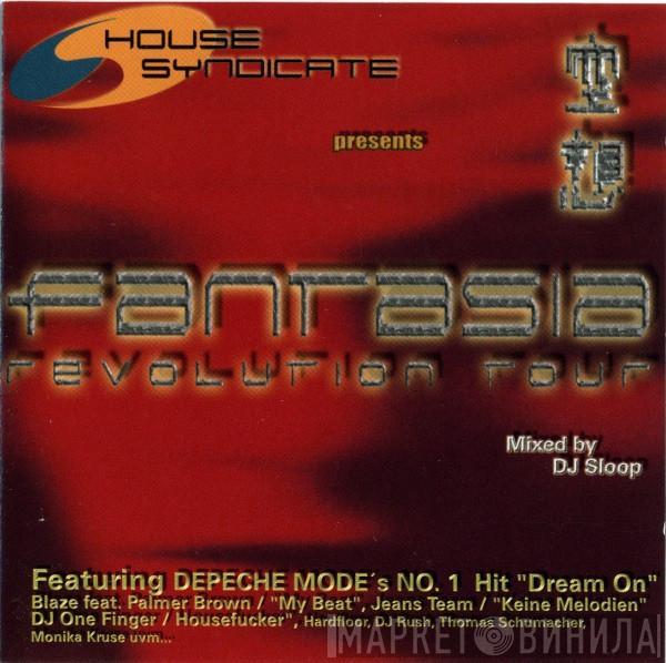 DJ Sloop - Fantasia Revolution Tour