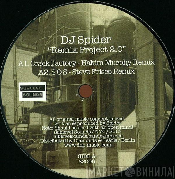 DJ Spider  - Remix Project 2.0