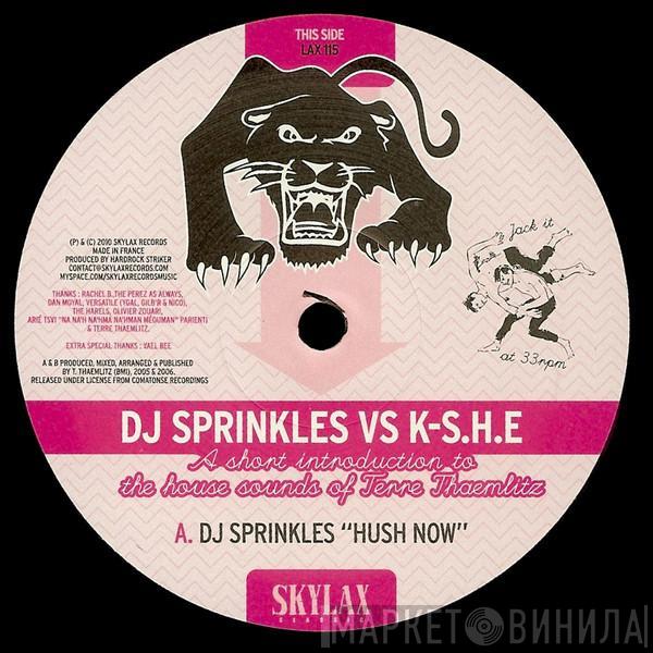 DJ Sprinkles, Kami-Sakunobe House Explosion K-S.H.E - A Short Introduction To The House Sounds Of Terre Thaemlitz